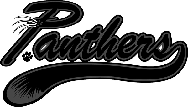'Panthers' lettering vinyl sports decal. Let it speak for you! Panthers font